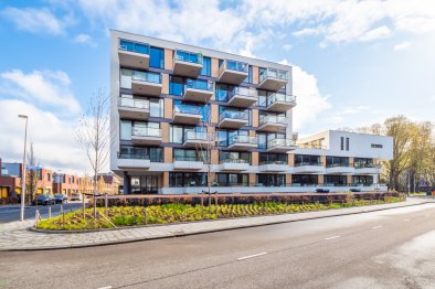 homes for rent on Appartement Schonberglaan 205