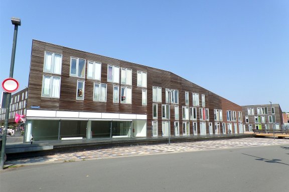 Eengezinswoning Bloemsingel 205