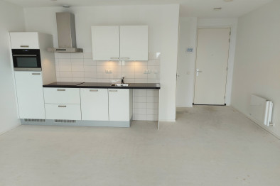 appartementen te huur op Appartement Omegaplantsoen 465