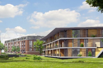 apartments for rent on Appartement Rentmeester 15