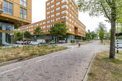 private-rentals for rent on Appartement Duke Ellingtonstraat 162
