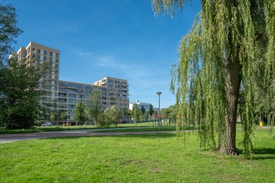 homes for rent on Appartement Andreasplein 54