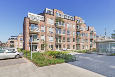 studios for rent on Appartement Theresiastraat 214