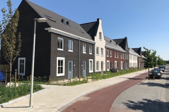 Zwanenbloem 47