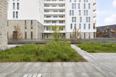 apartments for rent on Appartement Boumaboulevard 688
