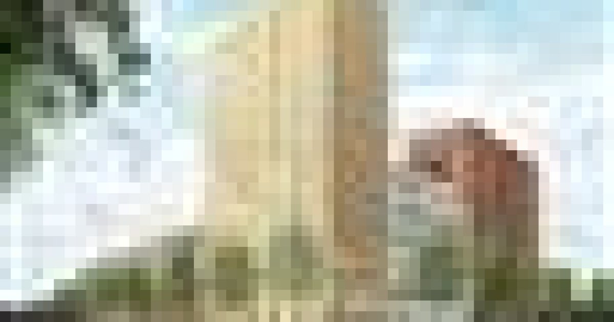 Schipholweg 174, Haarlem