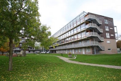 homes for rent on Appartement Hofplein 41