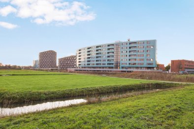 free-sector-houses for rent on Beeldsnijderstraat 265