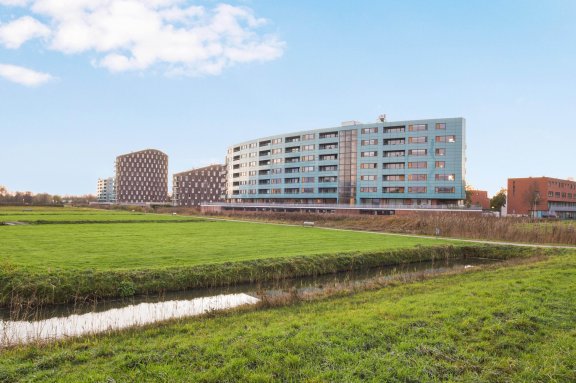 Beeldsnijderstraat 265 Zwolle
