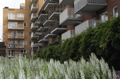 free-sector-houses for rent on Appartement Boezemlaan 39 D