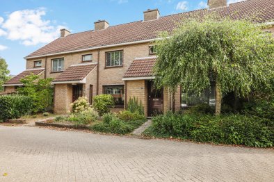 homes for rent on Huikeling 41