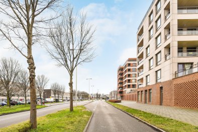 huurwoningen te huur op Appartement Teakhout 137