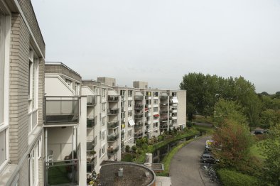 free-sector-houses for rent on Klein Brabant 71