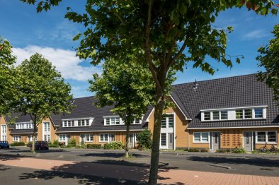 apartments for rent on Appartement Arabische Zee 110