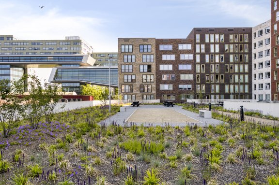 Appartement Betaplein 113