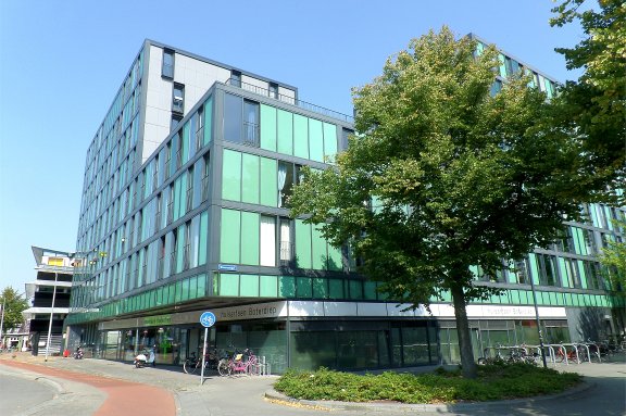 Appartement Bloemsingel 257