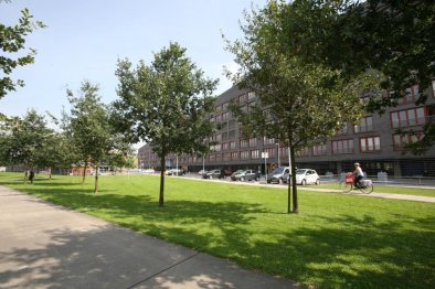 homes for rent on Musicallaan 191