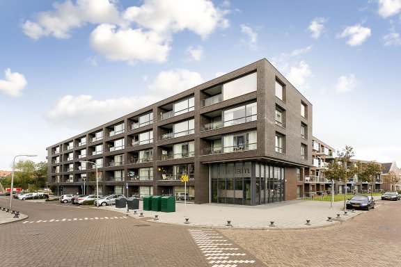 Hans in Westerwolde
