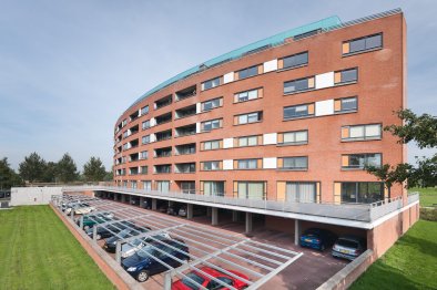 homes for rent on Beeldsnijderstraat 275