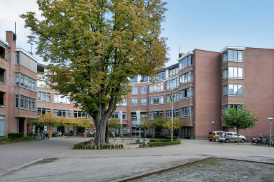 appartementen te huur op Appartement Strijpsestraat 14458