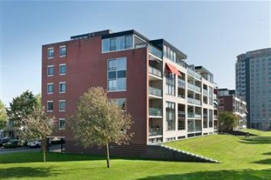 appartementen te huur op Appartement Hamontstraat 80