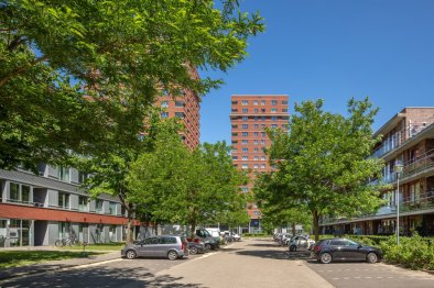 homes for rent on Gagelboschplein 539