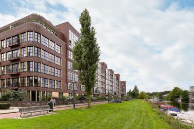 homes for rent on Appartement Afroditekade 97