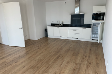 homes for rent on Appartement Van Sijpesteijnkade 481