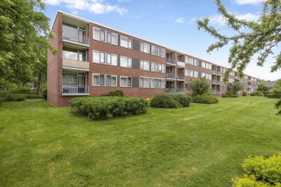 apartments for rent on Helperzoom 265