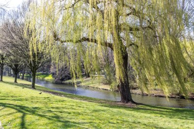 huurwoningen te huur op Appartement Boezemlaan 40 D