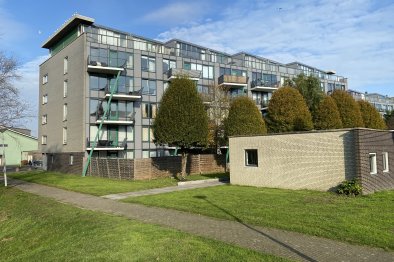 appartementen te huur op Appartement Hamontstraat 410
