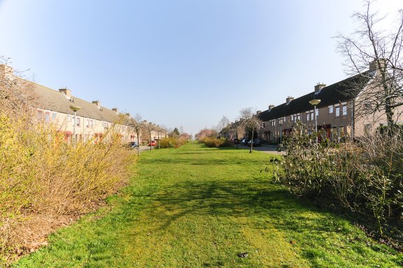 Hofstede 5 Huizen