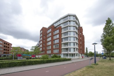 apartments for rent on Artemisstraat 8