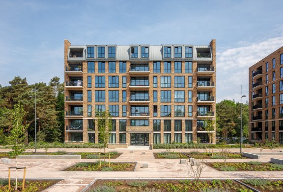 Cornelis in Westerwolde