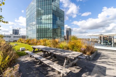 apartments for rent on Appartement Moreelsehoek 116