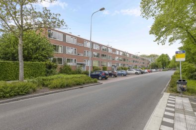 apartments for rent on Helperzoom 267