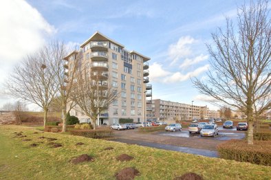 vrije-sector-woningen te huur op Appartement Houtwolplantsoen 218