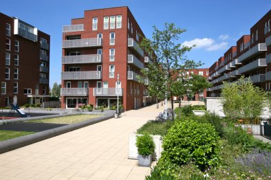 apartments for rent on Rolderdiephof 6