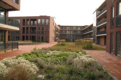 homes for rent on Appartement De Weverij 42