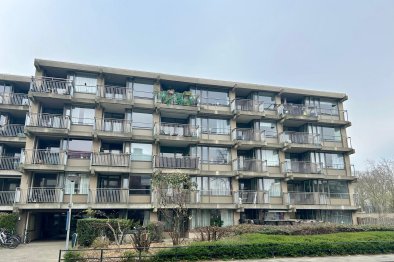 free-sector-houses for rent on Appartement Van Bijnkershoeklaan 226