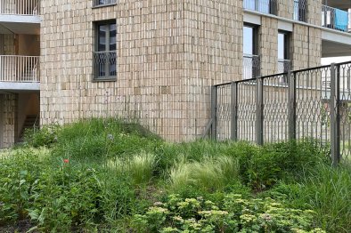 apartments for rent on Appartement Terheijdenstraat 246