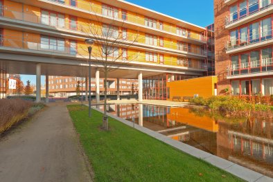 apartments for rent on Appartement Gagelboschplein 488