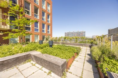 apartments for rent on Delflandplein 112
