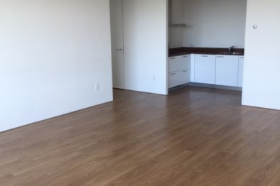 free-sector-houses for rent on Eengezinswoning Koningin Wilhelminaplein 468