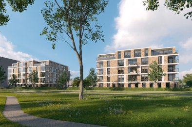 private-rentals for rent on Hagesteinstraat 131