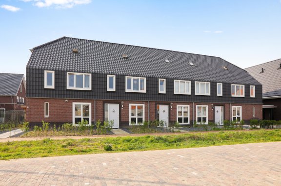 Wrijfschaalpad 1 D Oss