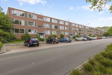 apartments for rent on Appartement Schaepmanlaan 52