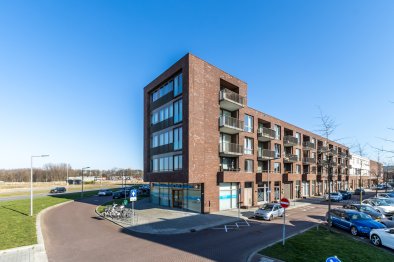 free-sector-houses for rent on Einthovenpad 11 A