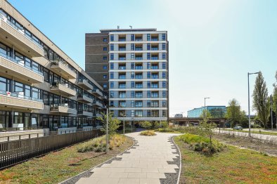 huurwoningen te huur op Appartement Nijenoord 359
