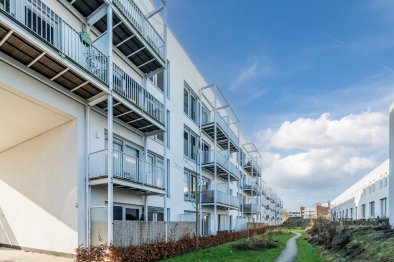 apartments for rent on Marie Vierdagstraat 148